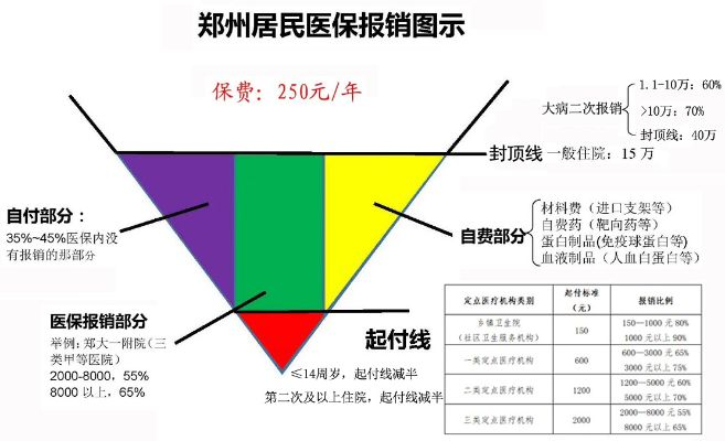 医保扣除比例的计算方法与实例分析