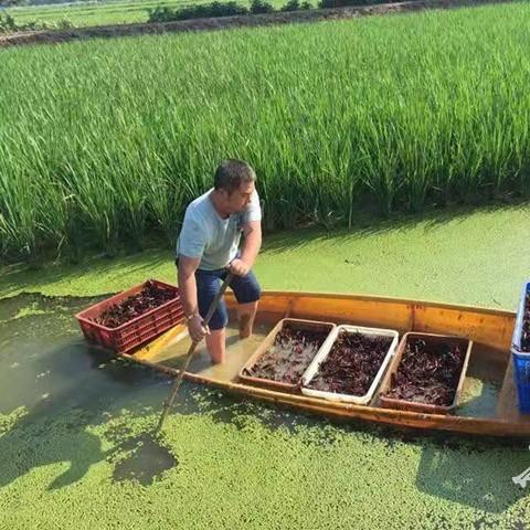 养殖致富项目分析与选择