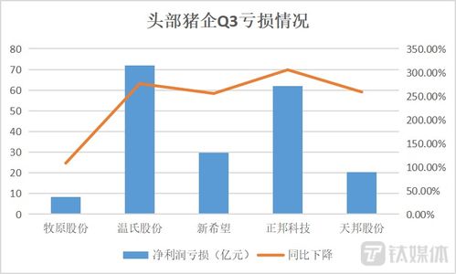 山西关键词排名优化价格分析，探索市场现状与成本效益