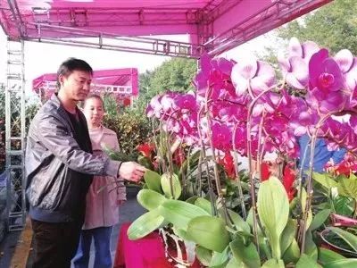 深圳龙岗微店放心花套出来,深圳龙岗微店放心花套出来