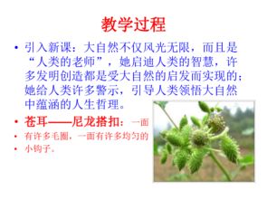 致富甜头成语的启示与应用