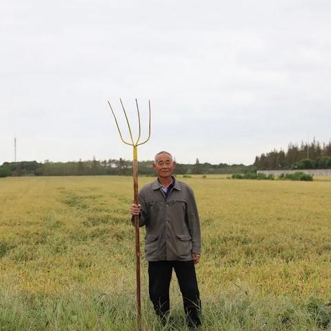 探索微信小程序聊天新境界