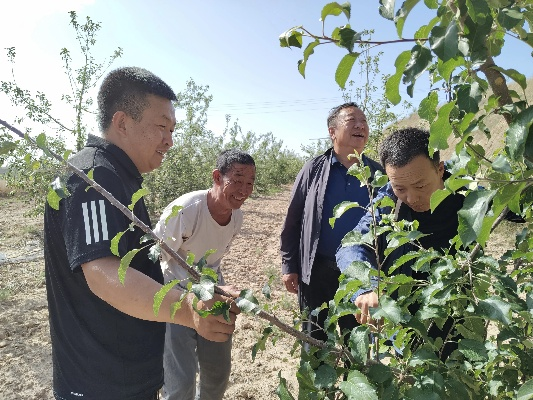 农民致富的好帮手——农业科技的应用与推广