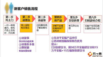 羊小咩套现到货回款,羊小咩套现到货回款全解析，流程、要点与案例探讨