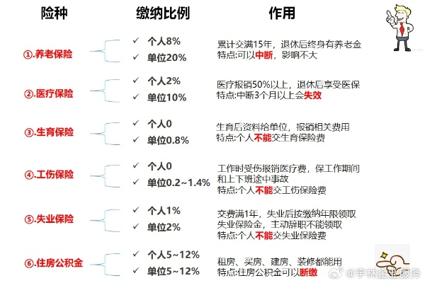 社保和公积金扣除比例详解，确保您了解如何合理规划个人财务