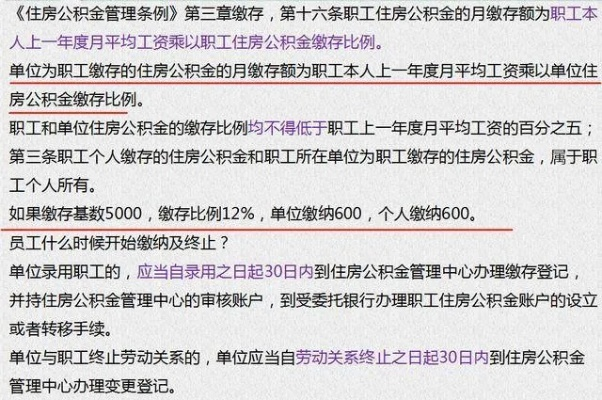 社保和公积金扣除比例详解，确保您了解如何合理规划个人财务