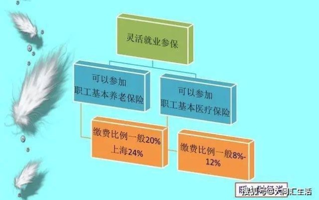 社保和公积金扣除比例详解，确保您了解如何合理规划个人财务