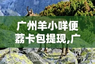 羊小咩便荔卡包再提现,羊小咩便荔卡包再提现全攻略