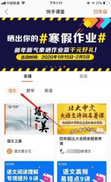 快手先用后付600多少套出来,揭秘快手先用后付模式，600元如何变身理财利器？