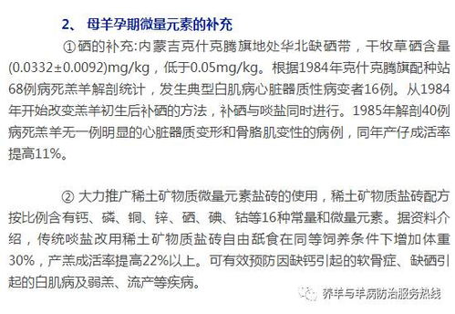 羊小咩套现30个点,羊小咩套现30个点，深度解析与案例探究