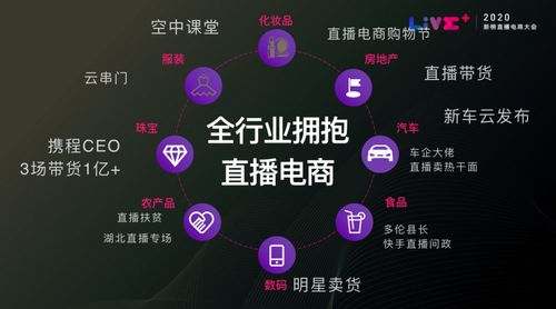 快手关键词优化策略，解锁内容传播的金钥匙