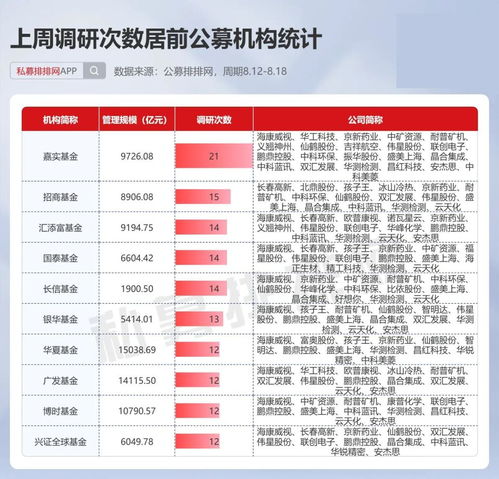 定兴县关键词优化选哪家？深度解析与行业领先者对比