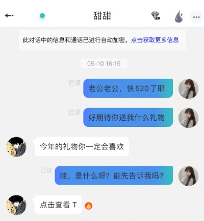 掌握隐私保护的艺术，如何安全高效地查询客服聊天记录