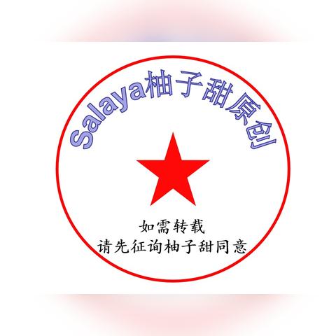 国外护照与酒店记录查询