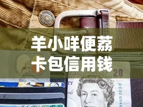 羊小咩便荔卡包临时额度怎么提现,羊小咩便荔卡包临时额度提现攻略