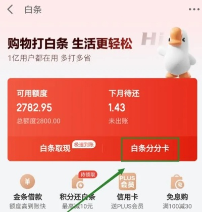 白条大额套出来,白条大额套出来攻略与案例解析