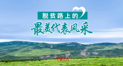 农民致富之路，从传统到现代的转型