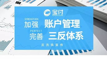 白条自己套出来,白条自套—— 如何巧妙利用信用卡或电子支付工具实现资金周转