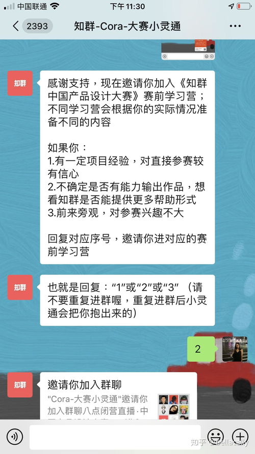 羊小咩套现,羊小咩套现，深度解析与案例分享