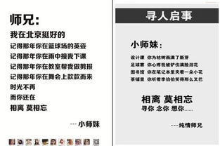 羊小咩套现金多少点,羊小咩套现金，深度解析与实用指南（附详细表格与案例）