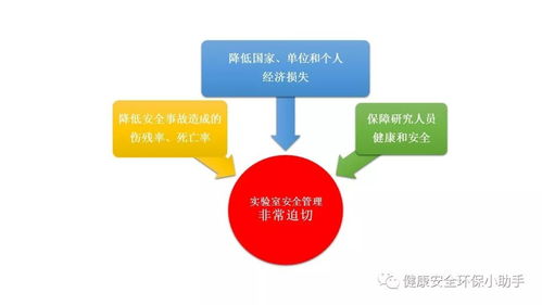 京东企业金采的套现技巧与风险管理