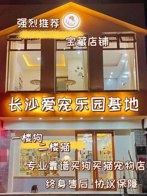 白条实体店套出来可靠吗,白条实体店套出来是否可靠？