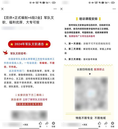 羊小咩套现网站,羊小咩套现网站揭秘，真相、风险与案例剖析