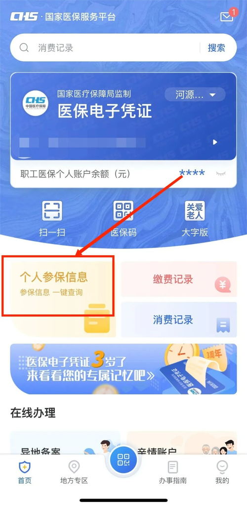 如何查询自己的医保缴费情况