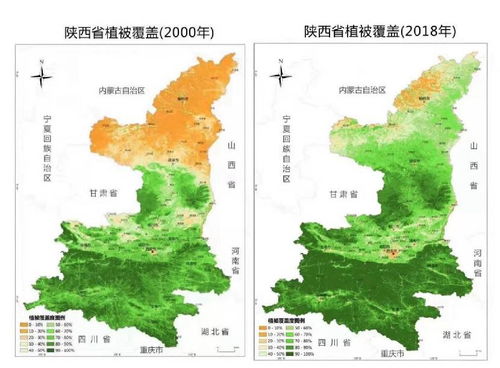 聊城水文监测点，守护生态之眼，监测水脉之动