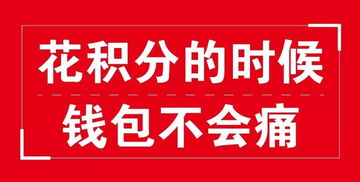 微店放心花套出来20个点是多少钱,微店放心花套出来20个点是多少钱？