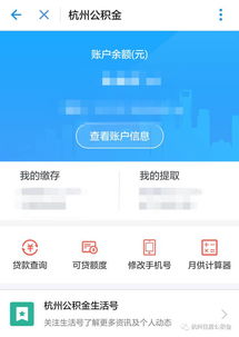 掌握公积金查询技巧，确保资金安全与便捷