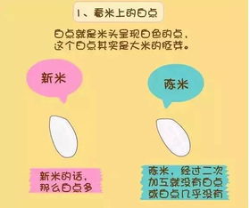 羊小咩500套现,羊小咩500套现，实用攻略与案例分析