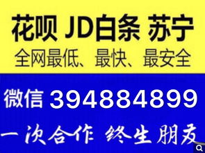 白条600套出来秒回安全吗,白条600套秒回安全吗？深入探讨与案例分析