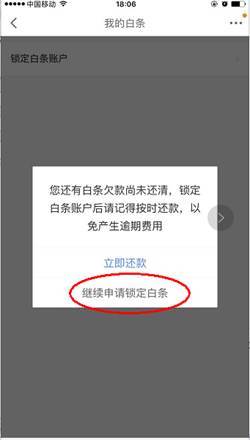 白条600套出来秒回安全吗,白条600套秒回安全吗？深入探讨与案例分析