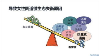 成都水文水质监测取样，保障饮用水安全与生态健康的基石