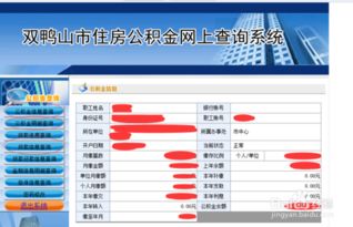 探索双鸭山公积金贷款查询途径与流程