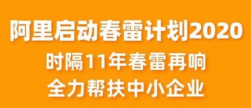 山东淘宝装修招商加盟——开启电商新机遇