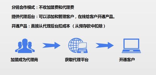 山东淘宝装修招商加盟——开启电商新机遇