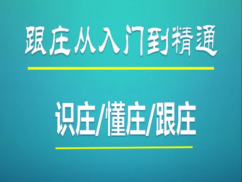 致富频道，开启财富之门的频道