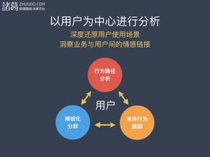 支付宝的致富树，探索数字时代的财富增长方式