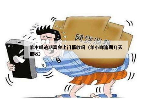 羊小咩能套现吗,羊小咩能否套现？解析与警示