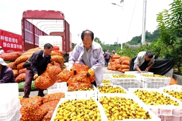 山里加工农产品致富之道