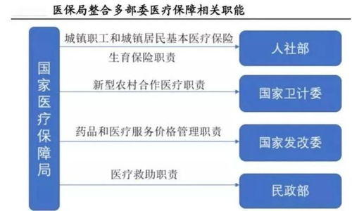 医保基金的返还流程与管理